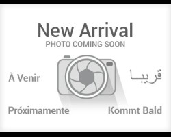 2024 Baic X55